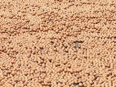 -东天目山风景区