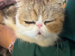 -平行世界·猫咖(首经贸店)