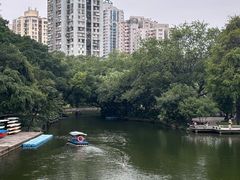 -晓港公园