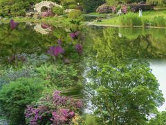 -东湖磨山景区