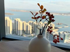 -柴犬小屋·柴餐厅·狗咖食堂(金鼎广场店)