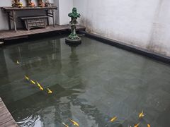 -觀芷隐轩