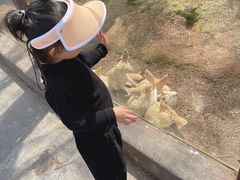 -灵玲国际马戏城