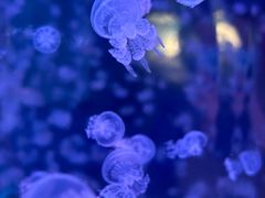 -常州海昌海洋探索馆
