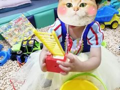 -森林象亲子餐厅·儿童生日会