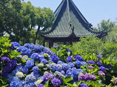 -无锡蠡湖国家湿地公园-蠡园