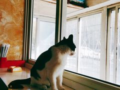 -三点小吃(山大店)