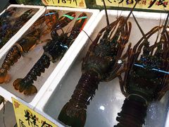 -蚝得喜海鲜(东城店)