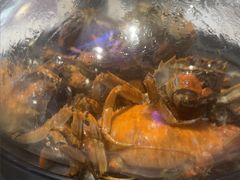 -半岛听涛蒸汽海鲜自助(K11店)