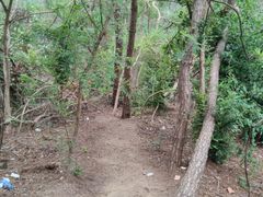 -青龙山国家森林公园