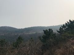 -怪坡茶馆