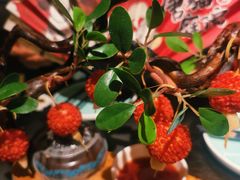 -唐猫庭院·千年陕菜(赛格国际购物中心店)
