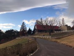 -神户市立六甲山牧场