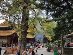 -普陀山风景名胜区-法雨禅寺