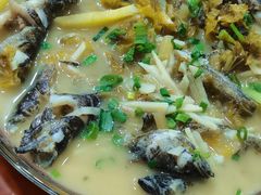 -品雅轩农家乐