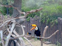 -上海野生动物园
