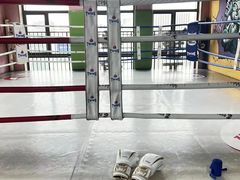 -臻元搏击格斗泰拳拳馆(港隆店)