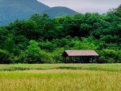 -大九湖