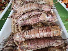 -沿海渔家院蒸汽海鲜·东北菜(东戴河店)