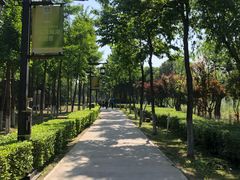 -西安汉城湖景区