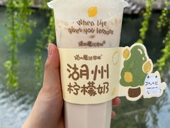 -猫的魔法密林(衣裳街店)
