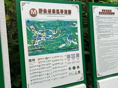 -野象谷景区