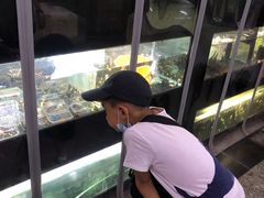 -中环花鸟鱼虫市场