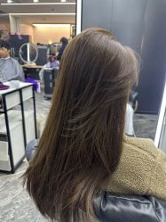 -藤野造型