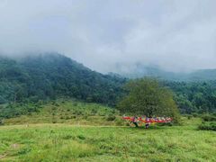 -硗碛藏寨·神木垒景区