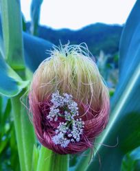 -SKINLALA美肤疗愈SPA