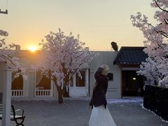 -Blue Concept Cafe&Farm·關於藍