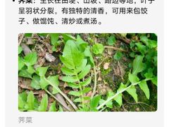 -苏州东太湖生态园