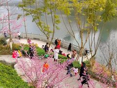 -重庆彩云湖湿地公园