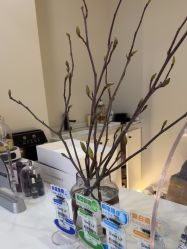 -VE专注问题肌·赛诺龙&科学美肤中心