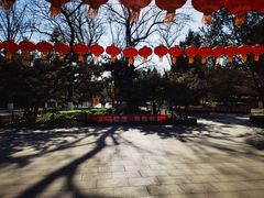 -宣武艺园