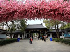 -南汇桃花村