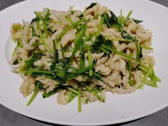 芫爆鸡丝-燕春楼(海河华鼎店)