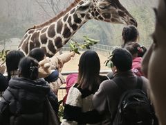 -合肥野生动物园