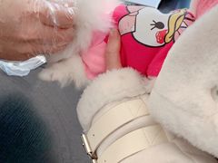 -香河县乐康动物诊所
