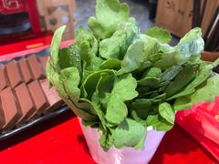 茼蒿-谭鸭血老火锅(慈云寺店)