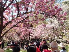 -西安青龙寺遗址景区