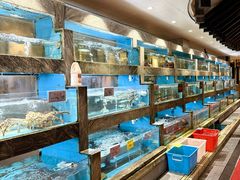 -佳丽海鲜大酒楼(环岛海景店)