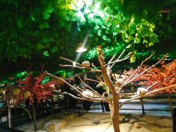 -酷嗒动物文化乐园(cutezoo西溪乐天城店)