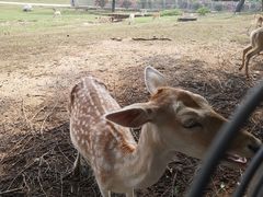 -西安秦岭野生动物园