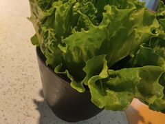 -醉二娘正宗西昌火盆烧烤(大丰店)