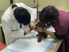 -艾贝尔宠物诊疗