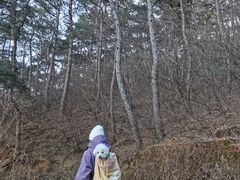 -辛安庄鸡鸣山景区
