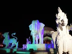 -清迈夜间动物园