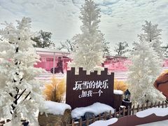 -盈香心动乐园