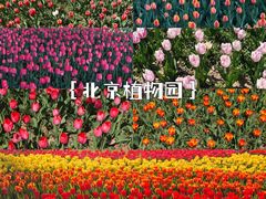 -国家植物园